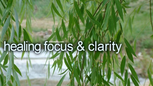 healing_focus_and_clarity